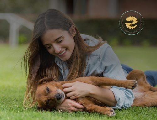 Terapia com animais: como pets ajudam no tratamento psicológico